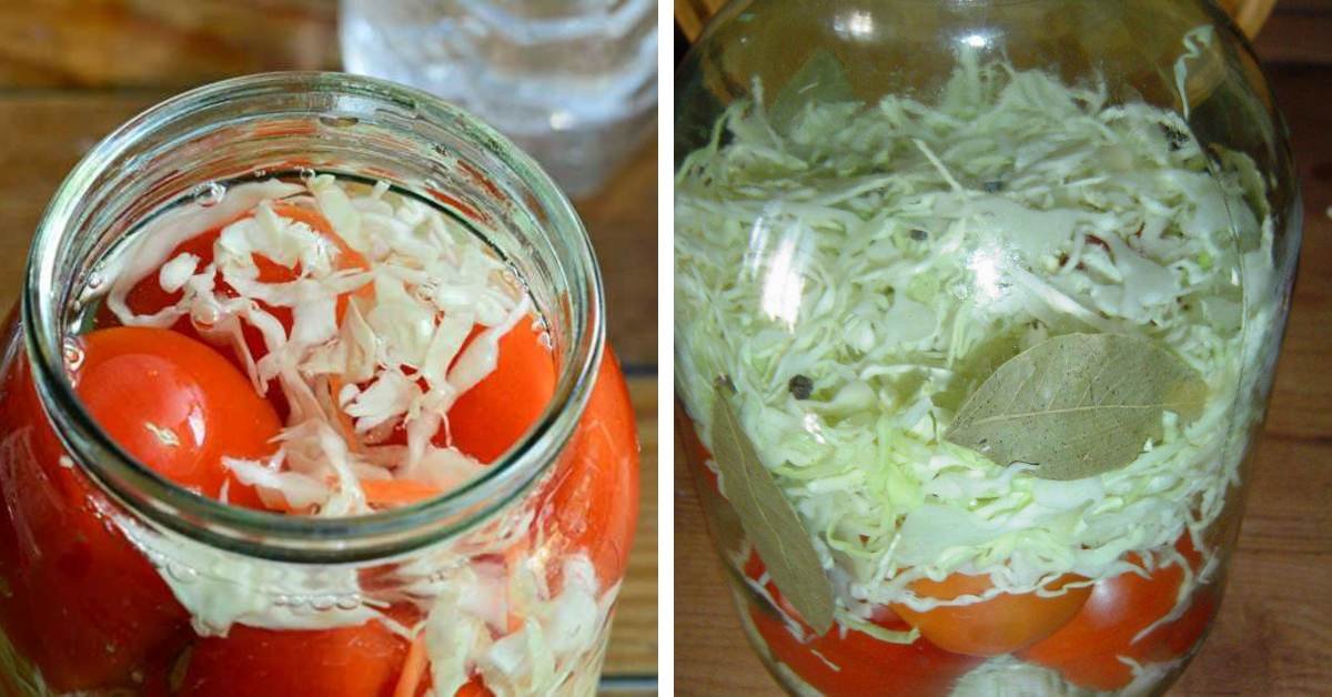 Как приготовить маринованные помидоры с капустой