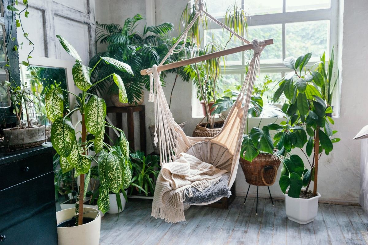 Лучшие комнатные растения, что облагородят даже колхозный интерьер