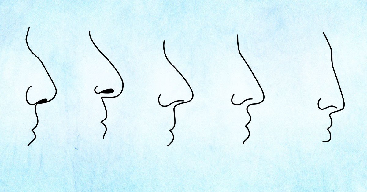 Почему мужа нужно выбирать по форме носа