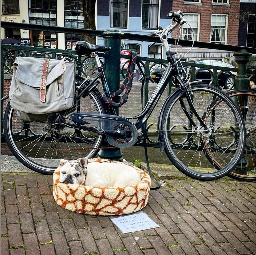 My lot in life. Холодильник на велосипеде. Велосипеды в каналах Амстердама. Амстердам велосипеды у вокзала. Велосипеды в Нидерландах под дождем.