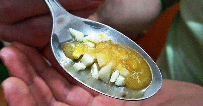 Съедайте чеснок и мед натощак в течение 7 дней, вот что произойдет с вашим организмом