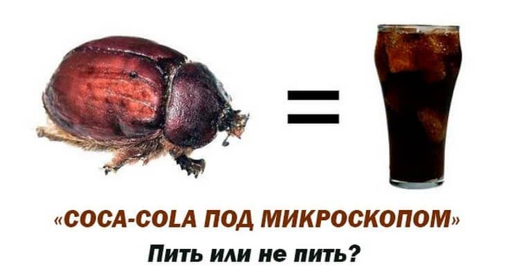 Coca Cola под микроскопом: факты, которые поставят точку в вопросе пить или не пить